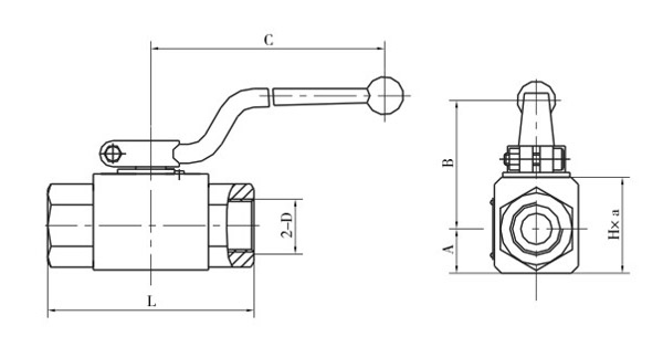 pr12-1.jpg